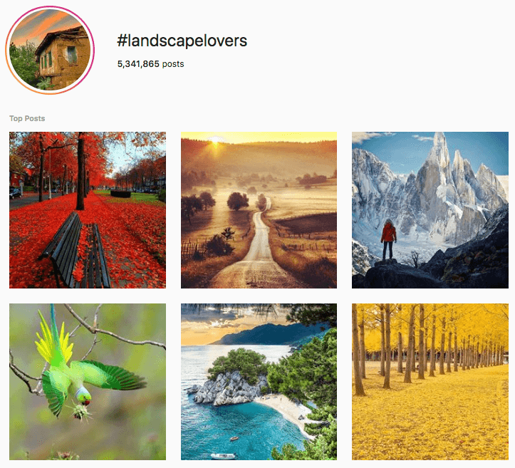 Top Hashtags To Your Instagram Account