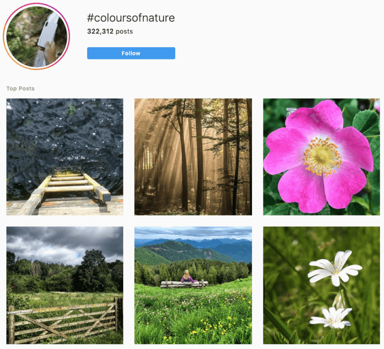 Top Hashtags To Your Instagram Account