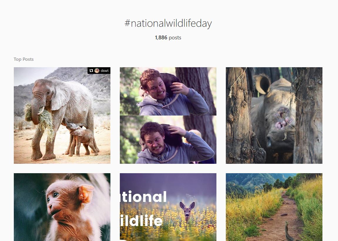 Trending This Month's Hashtags & Hot Topics 🔥📈 September 2017