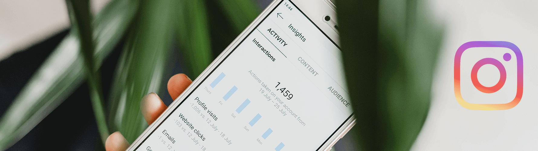 Live Instagram Follower Count: Track Your Audience Growth Real