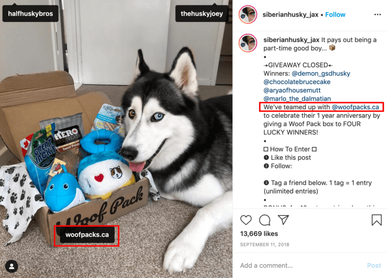 pet influencer campaign