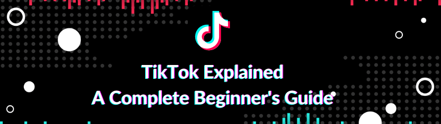 Noob Turn Filter｜TikTok Search