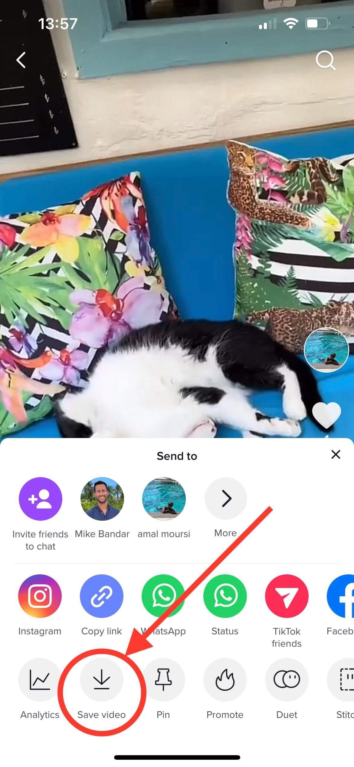 Share TikTok Videos to Facebook in Quick Easy Steps