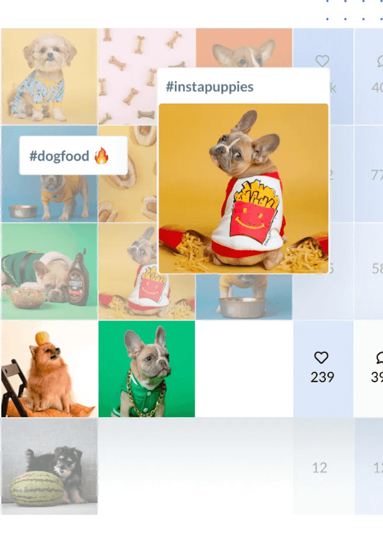 travel content hashtags