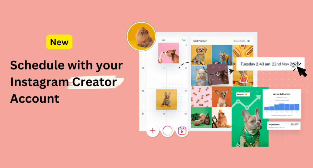 schedule instagram creator account